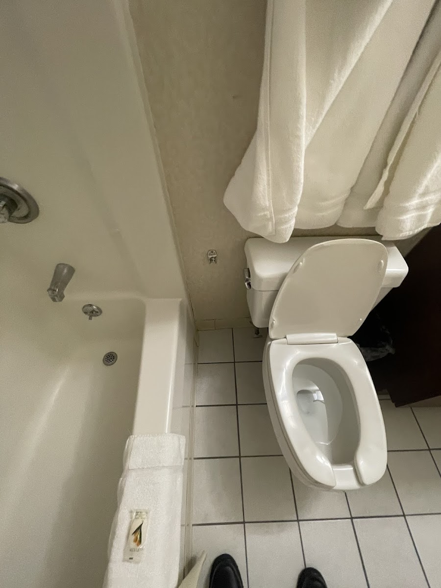 Regency Inn & Suites Rooms 1