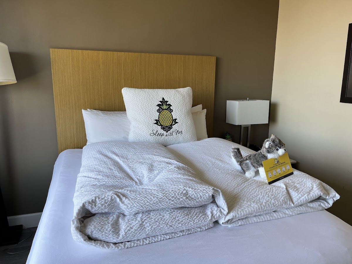 Hotel Rose - A Staypineapple Hotel All 5