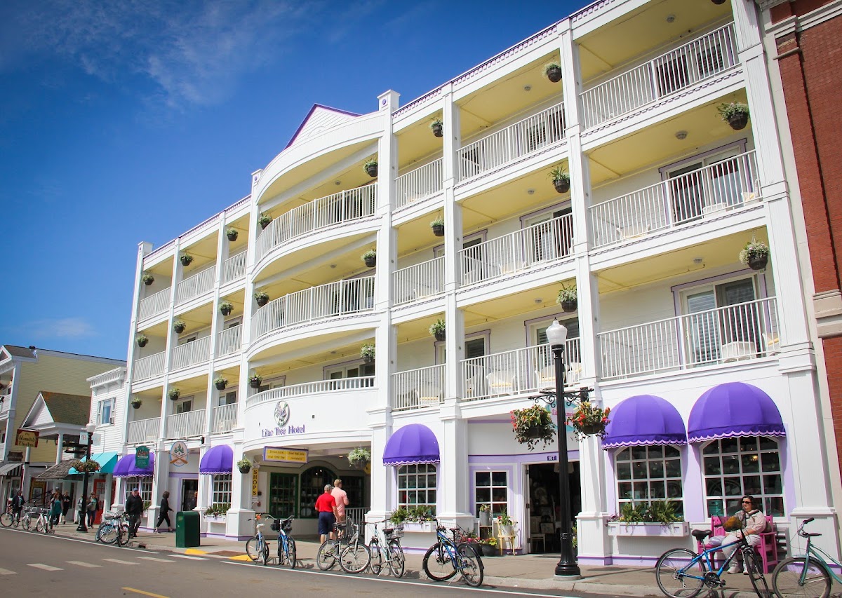 Lilac Tree Suites