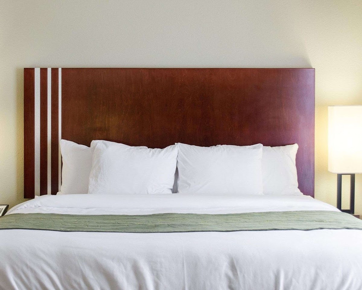 Comfort Suites Greenwood All 2