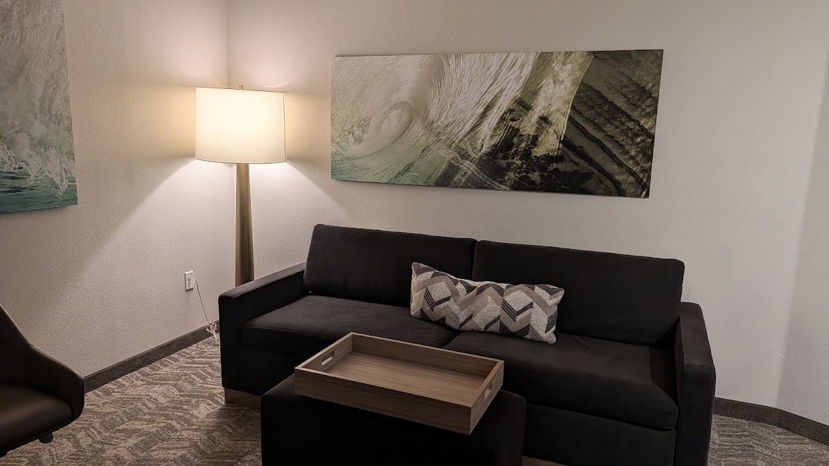 SpringHill Suites by Marriott Tampa Suncoast Parkway Rooms 2