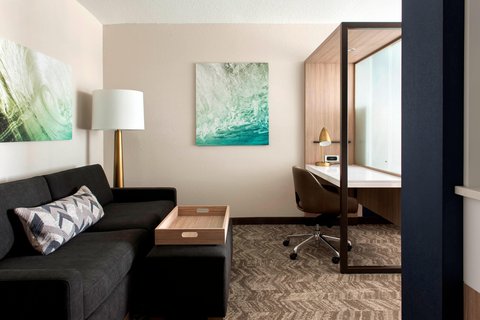 SpringHill Suites by Marriott Tampa Suncoast Parkway Rooms 3