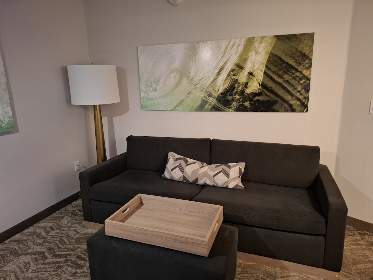 SpringHill Suites by Marriott Tampa Suncoast Parkway All 1