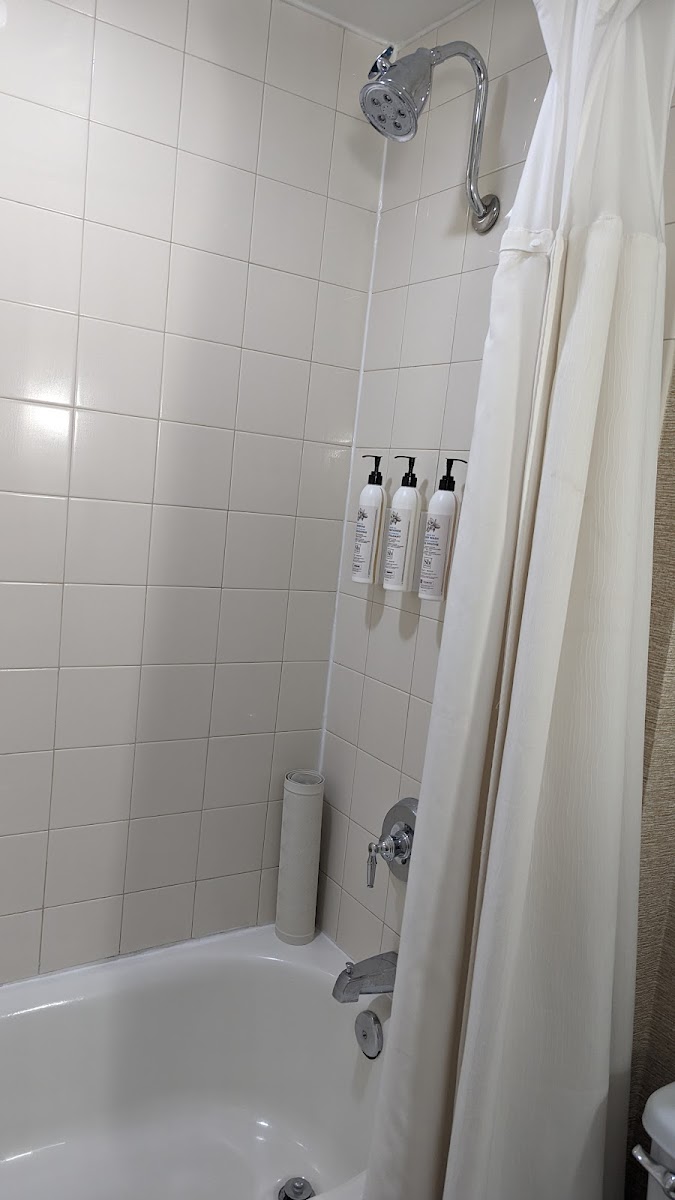 Delta Hotels Phoenix Mesa Rooms 5