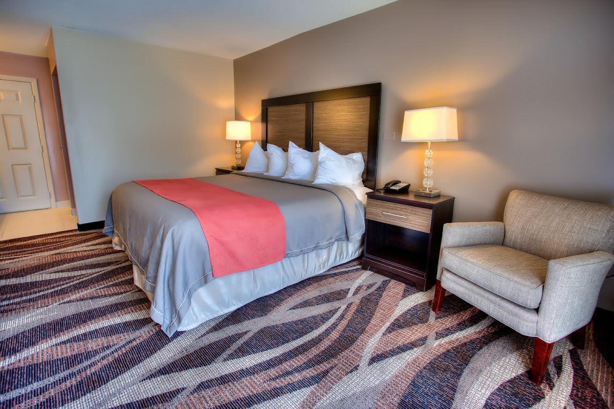 The Beaucatcher, A Boutique Motel Rooms 1