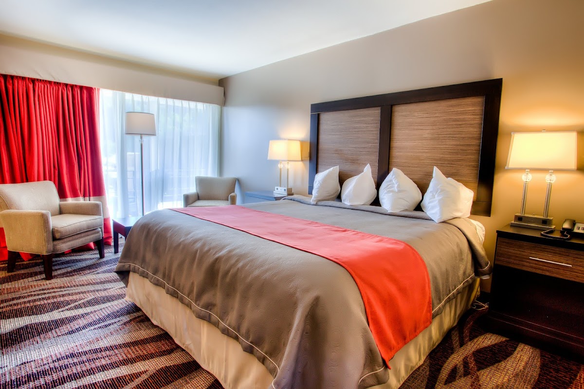 The Beaucatcher, A Boutique Motel Rooms 5