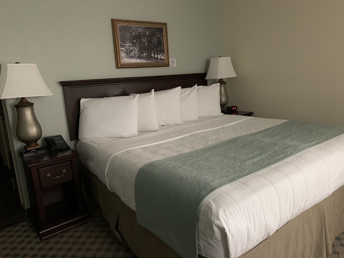 The Inn at Wise Rooms 5