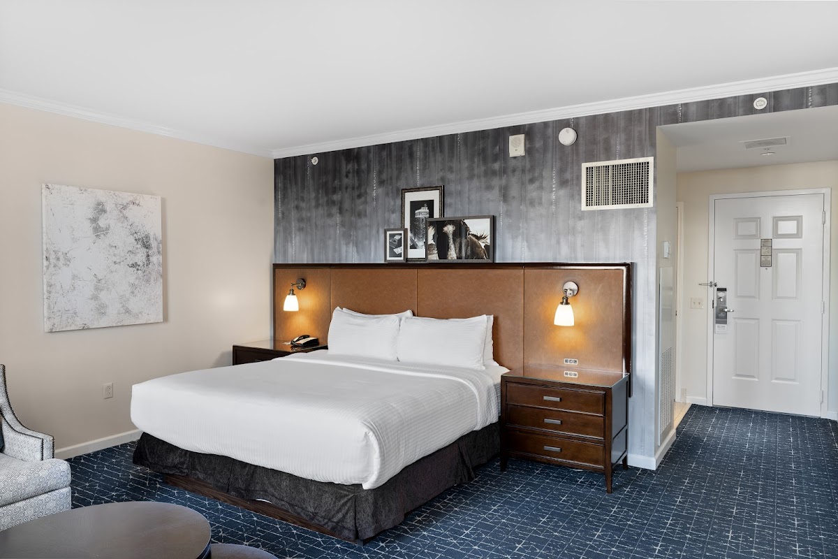 Magnolia Hotel Houston, a Tribute Portfolio Hotel Rooms 2
