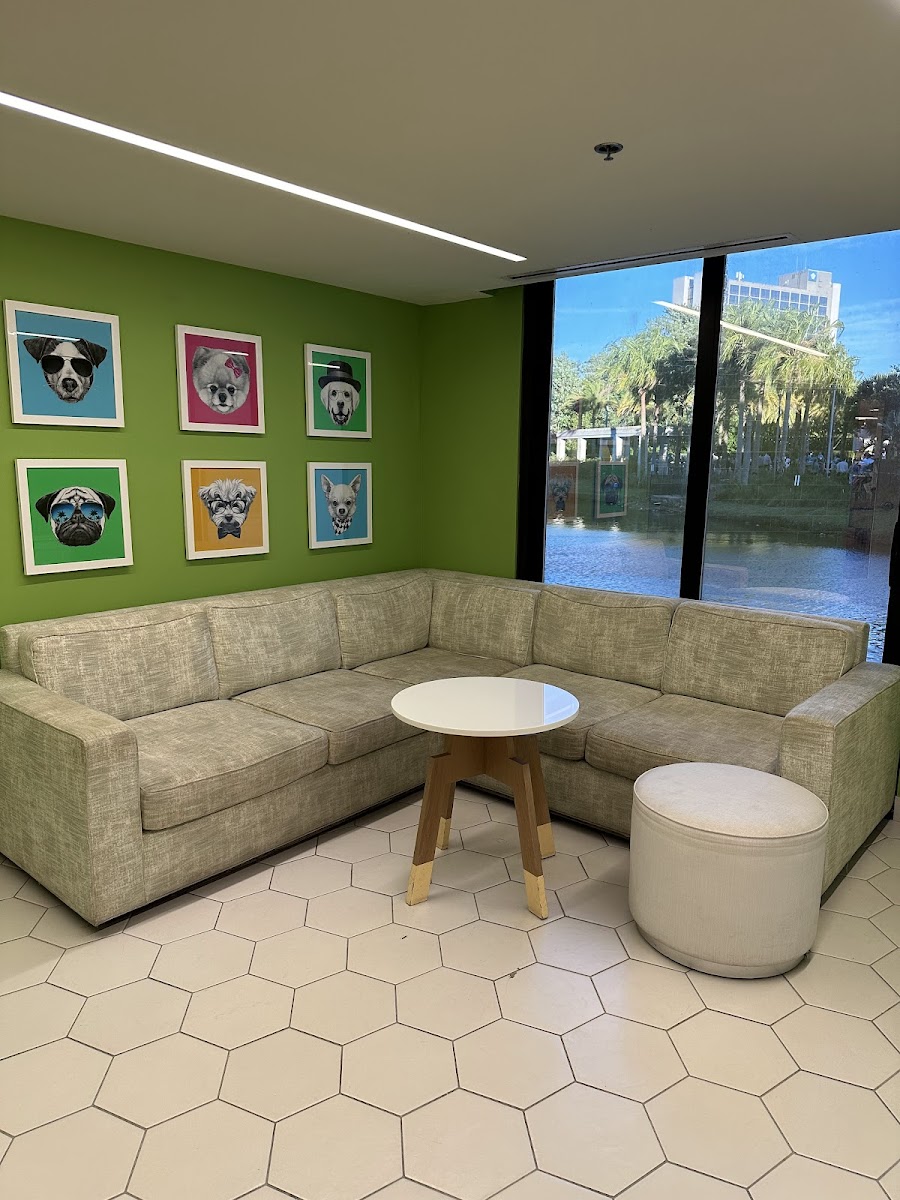 Hilton Orlando Buena Vista Palace - Disney Springs Area Rooms 5
