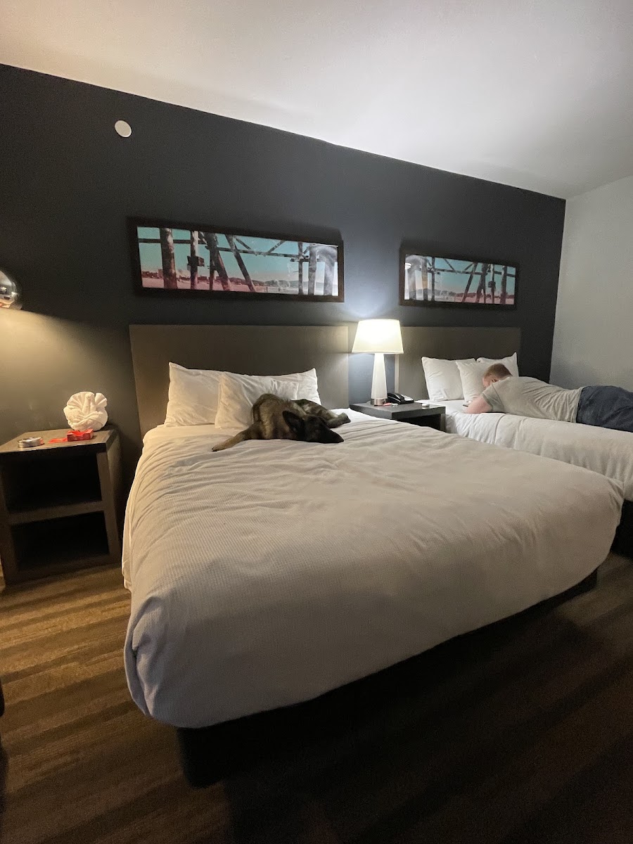 Hyatt House Atlanta/Downtown All 1