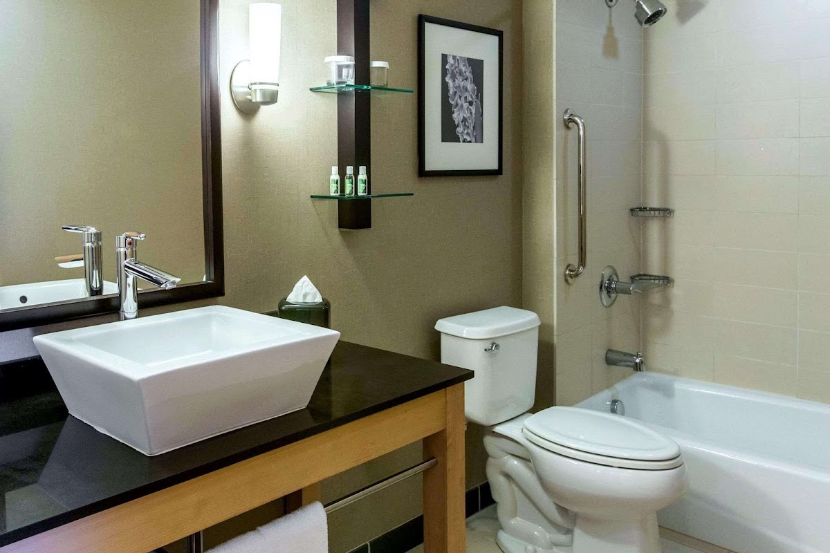 Cambria Hotel Rapid City near Mount Rushmore Rooms 1