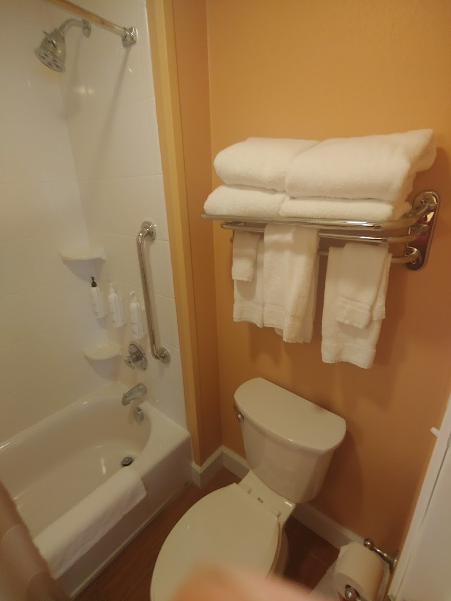 TownePlace Suites by Marriott Detroit Commerce Rooms 5